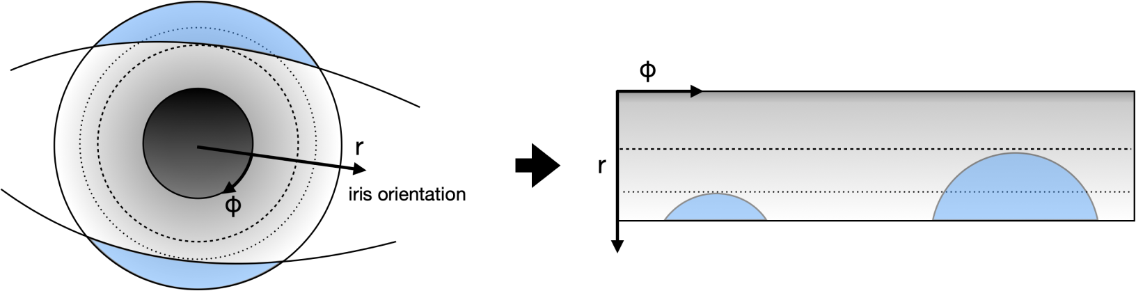 Diagram explaining iris recognition with a spherical representation and side view of the iris orientation.