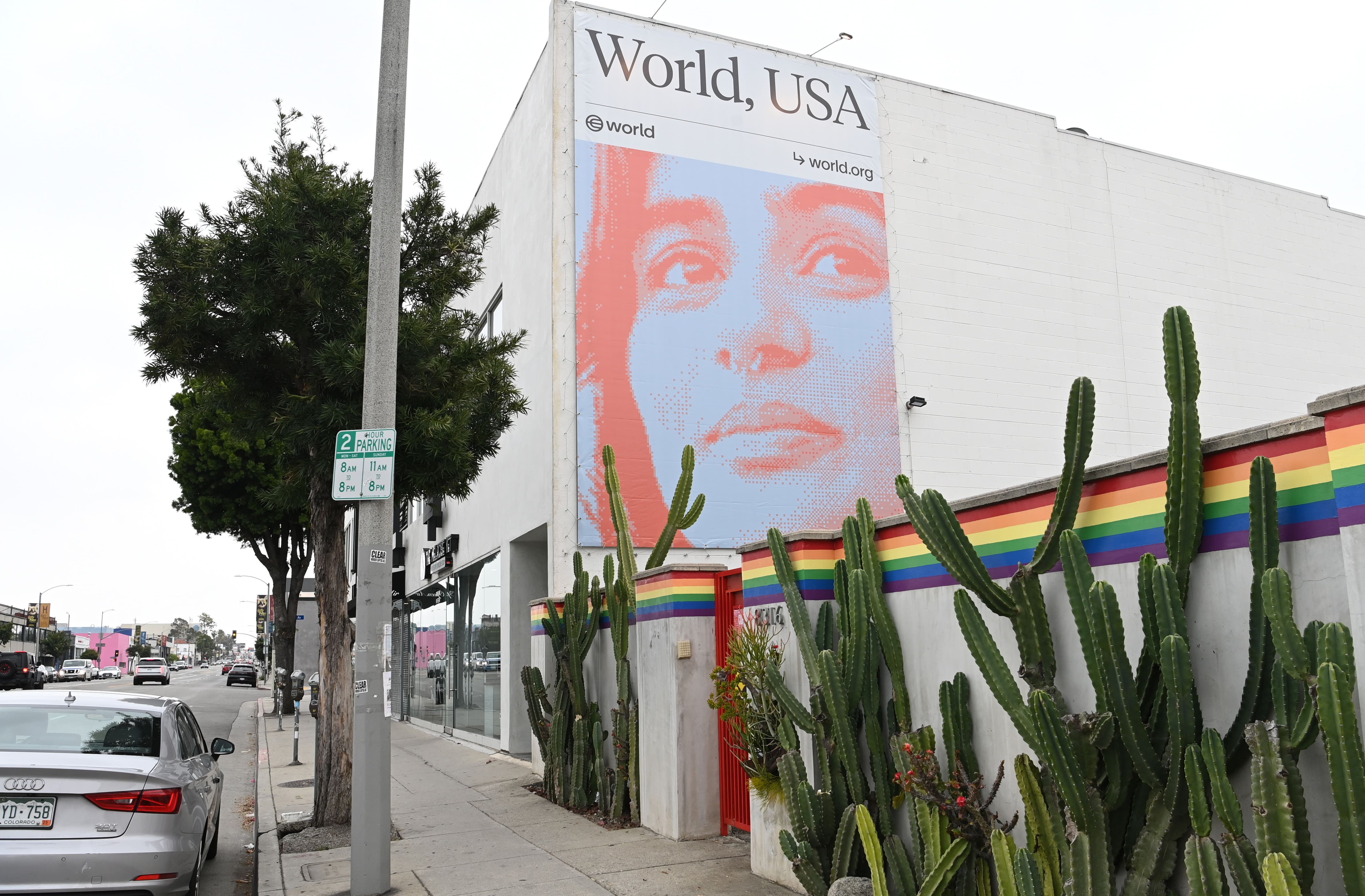 A mural featuring a large portrait on the side of a building with the word 'World, USA' on it. Cacti and a rainbow-striped wall are visible in the foreground. The scene is set in an urban environment.