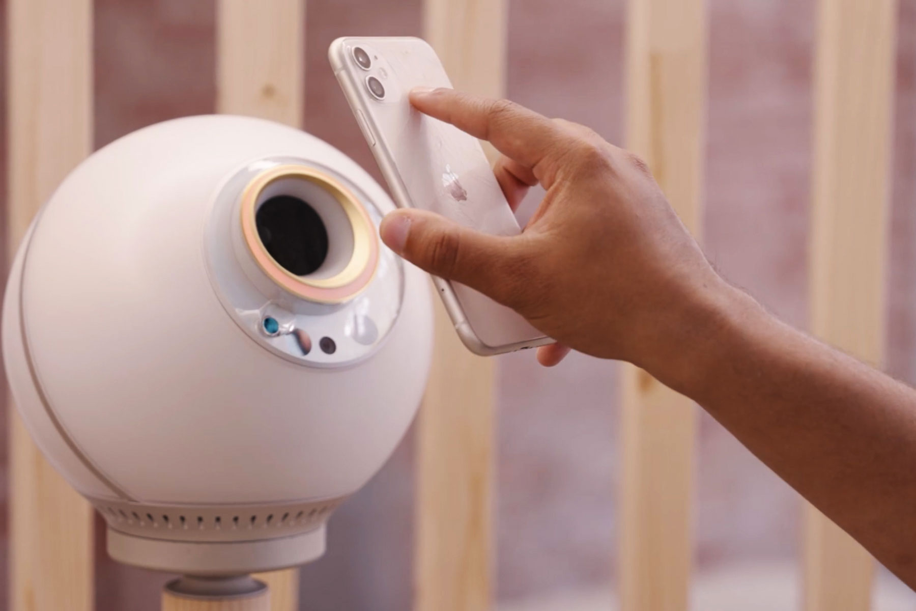 A hand holding a smartphone is positioned near the Orb for biometric verification.